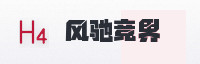 合作伙伴